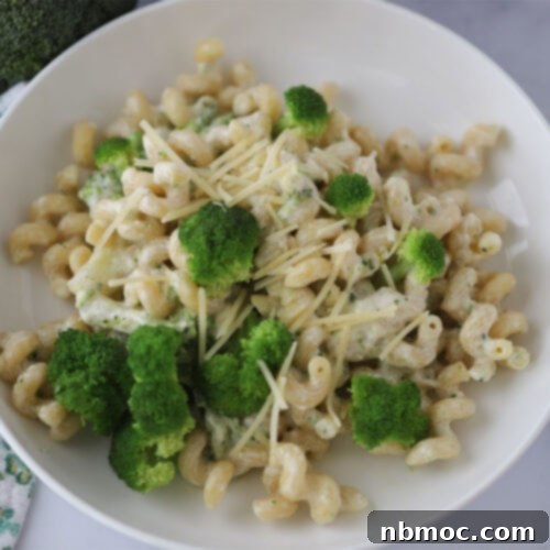 how to make Creamy Broccoli Pasta recipe