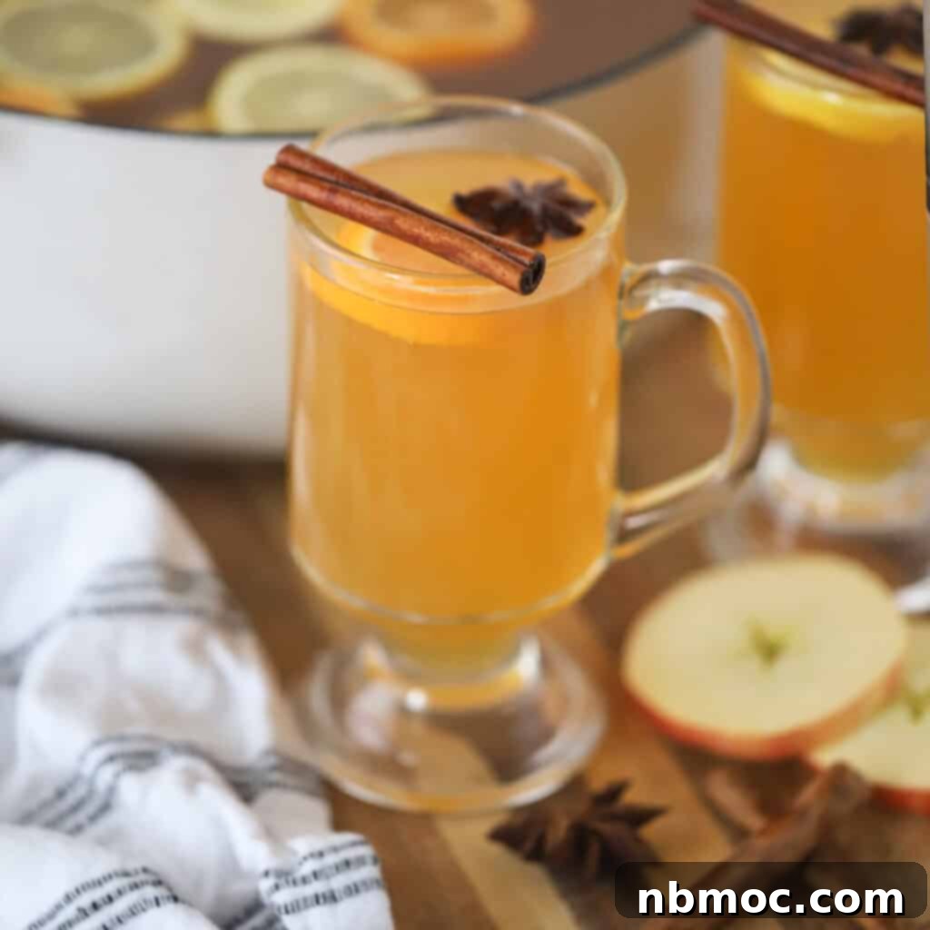 A clear glass filled with steaming hot mulled cider, elegantly garnished with a cinnamon stick, evoking warmth and autumn flavors.