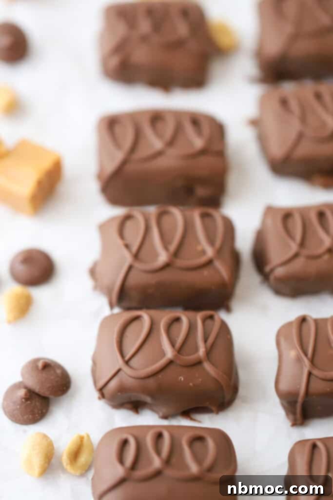 Chocolate covered candy bars with drizzled chocolate over the top.