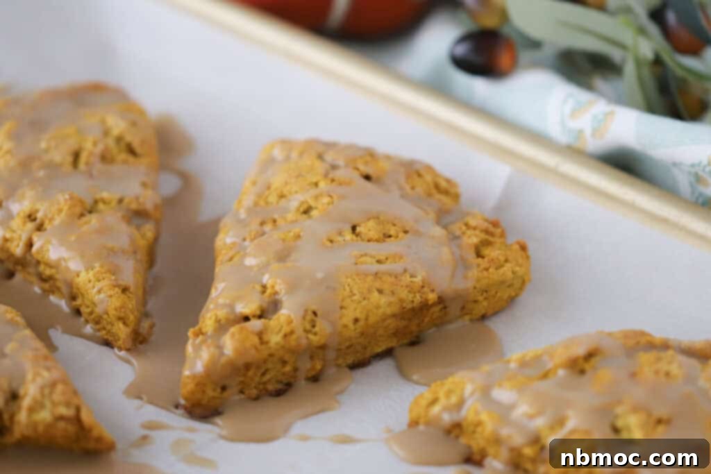 A baking sheet filled with freshly baked pumpkin scones, each perfectly glazed with maple syrup and ready to be served.