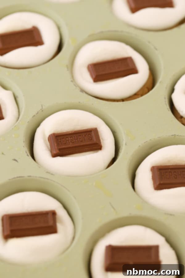 peanut butter smore cookies with marshmallow and chocolate pieces on top. Smore cups, s'mores cookie cups.