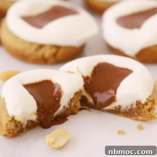 smore cookies on a white parchement paper