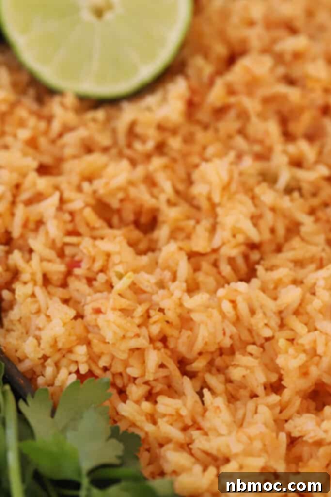 spanish rice with salsa.