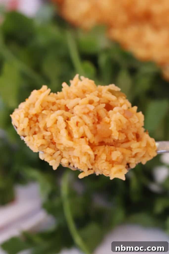 A spoon full of this easy spanish rice recipe.