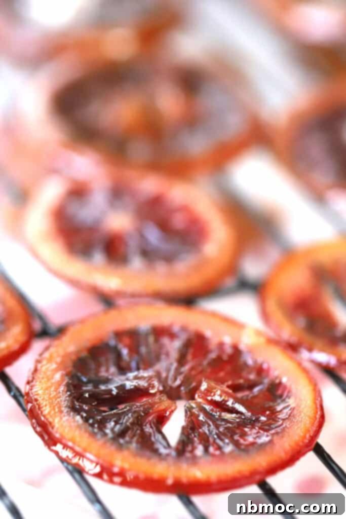 Citrus Gems 4 Rows of perfectly sliced and candied citrus, including oranges and lemons, meticulously arranged on a wire rack to dry, showcasing their translucent, sugary finish.