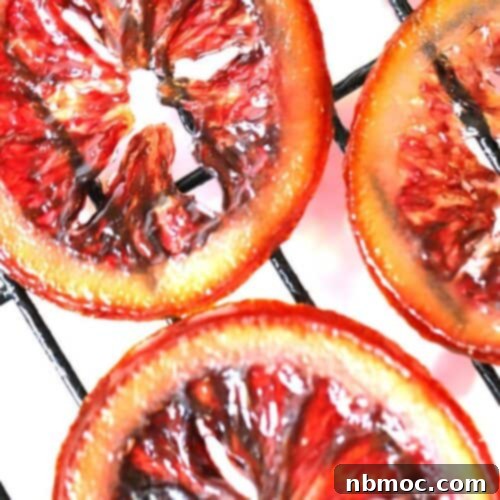 Citrus Gems 6 Step-by-step directions on how to make homemade candied citrus slices, featuring a vibrant blood orange