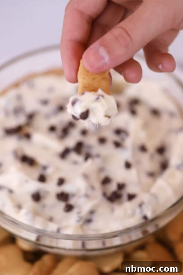 A hand holding a Teddy Graham cracker dipped into a creamy chocolate chip dip, showcasing its fluffy texture and mini chocolate chips.