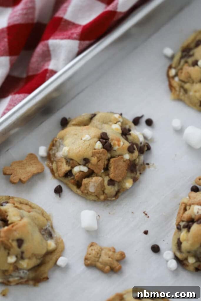 Campfire Smores Delight 2 A baking sheet with chocolate chip s'more cookies lined up, showcasing melted marshmallows and chocolate.
