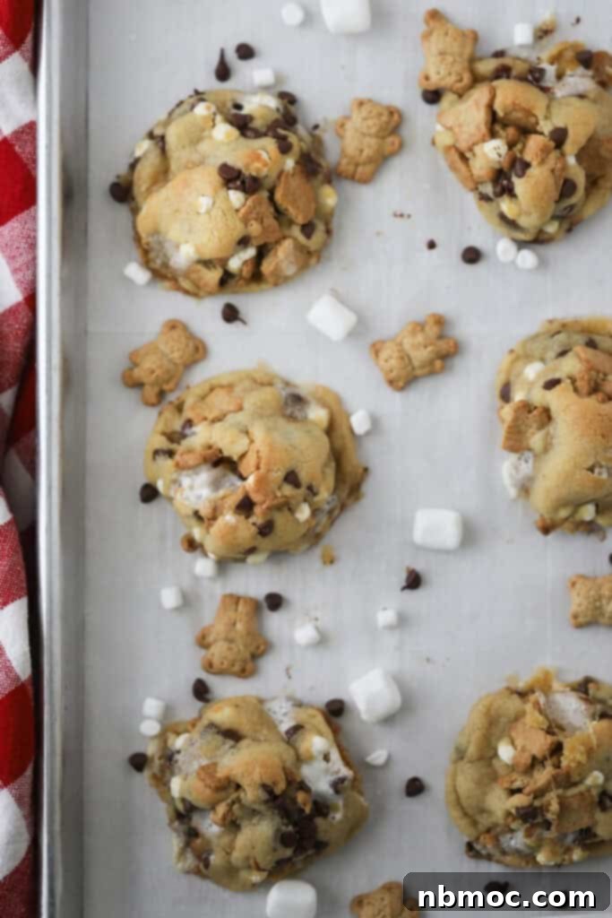 Campfire Smores Delight 3 A baking sheet with rows of perfectly golden-brown chocolate chip smores cookies.