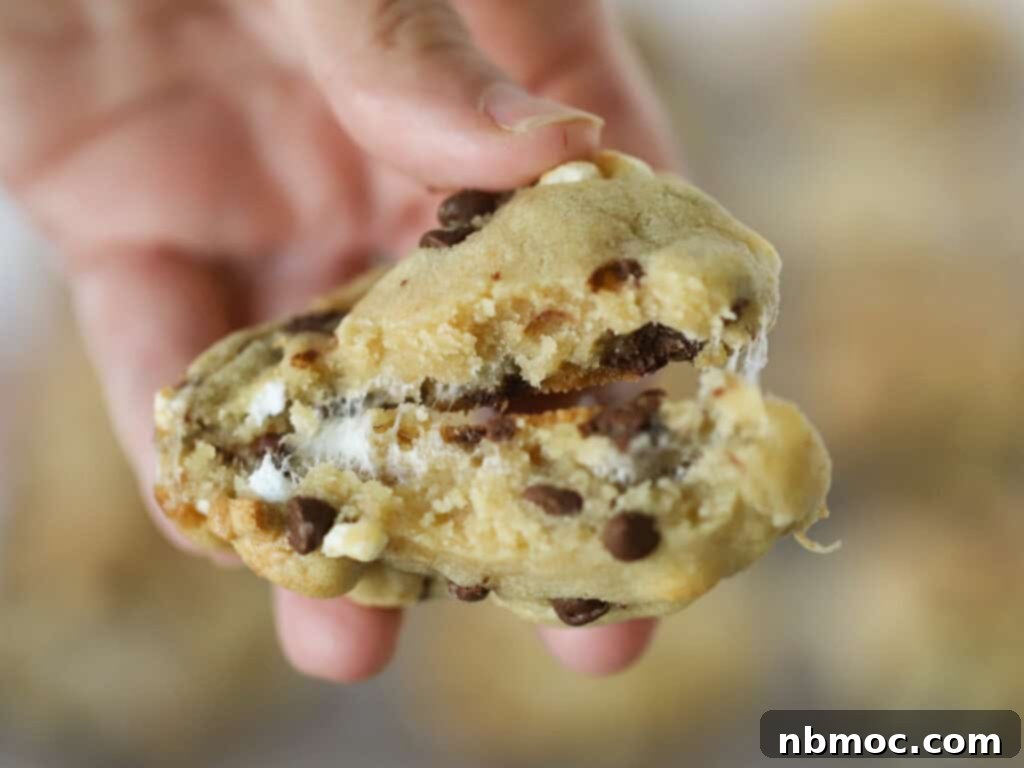 Campfire Smores Delight 5 A hand holding a soft and chewy s'mores cookie, revealing its gooey center.