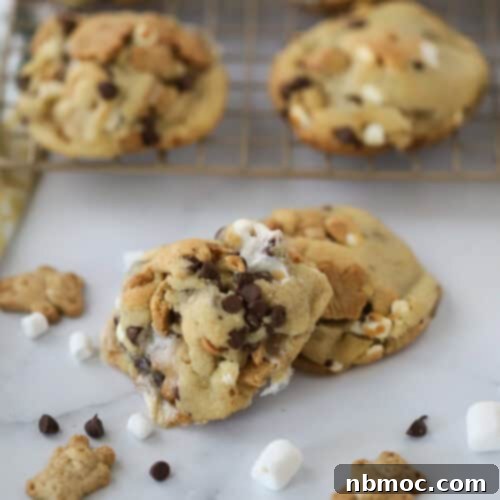 Campfire Smores Delight 6 How to make homemade Smores Cookies from scratch, showing a stack of cookies with melted chocolate and marshmallows.