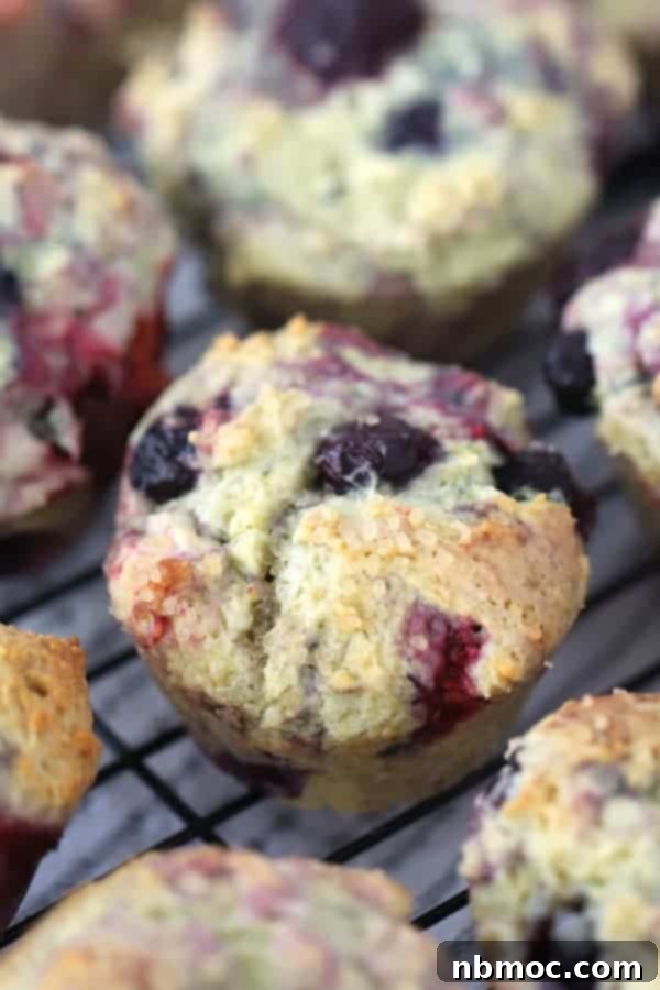 Bursting Berry Muffins 4 Close-up of a homemade triple berry muffin with a crunchy sugar topping.