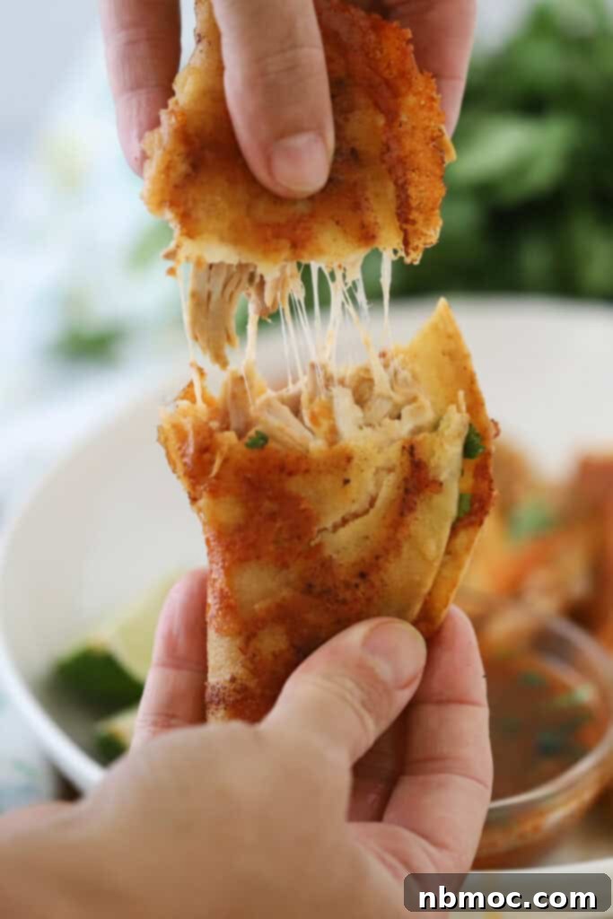 Mouthwatering Chicken Birria Tacos 3 Hands pulling apart a birria chicken taco.