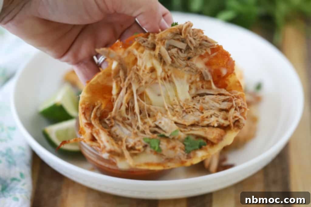 A hand pulling apart a cooked pork birria taco, revealing melted, gooey cheese and shredded pork inside.