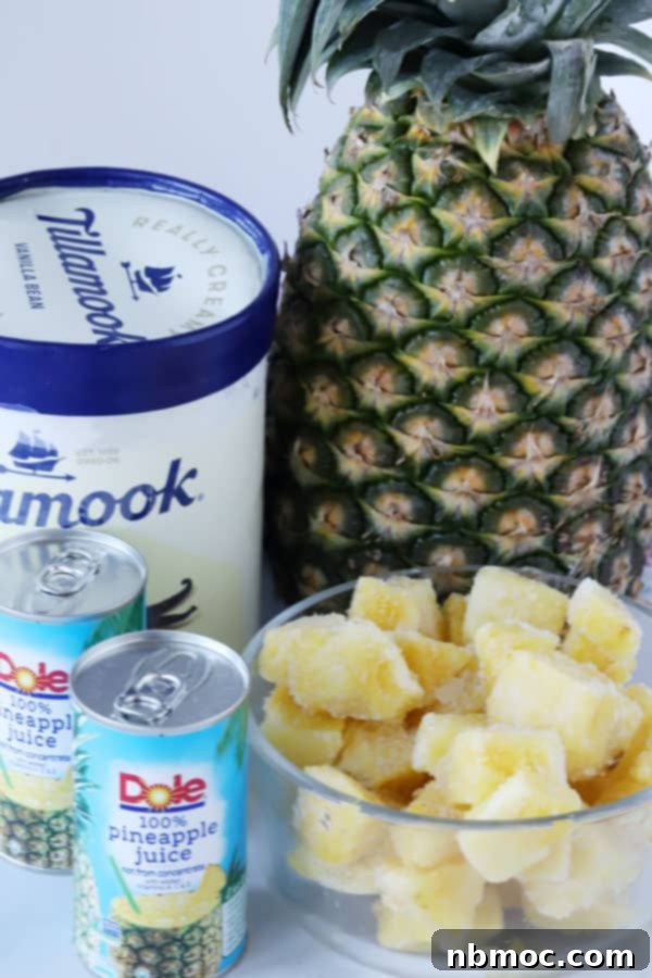 Dole whip ingredients including vanilla ice cream, frozen pineapple, and pineapple juice, arranged on a table ready to be blended.