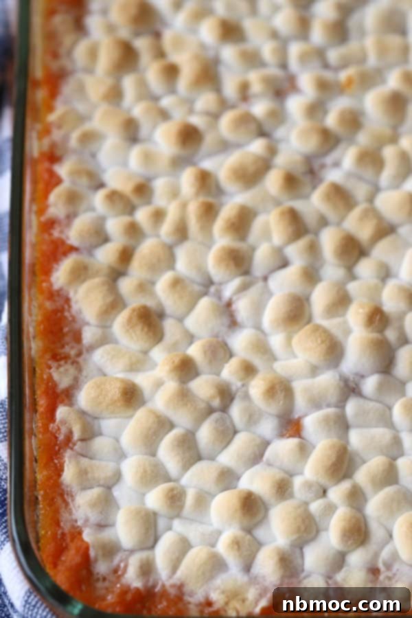 Golden Yam Bake with Toasted Marshmallow Topping 2 A baking dish with sweet potato casserole with marshmallows on top, perfectly golden brown and inviting.