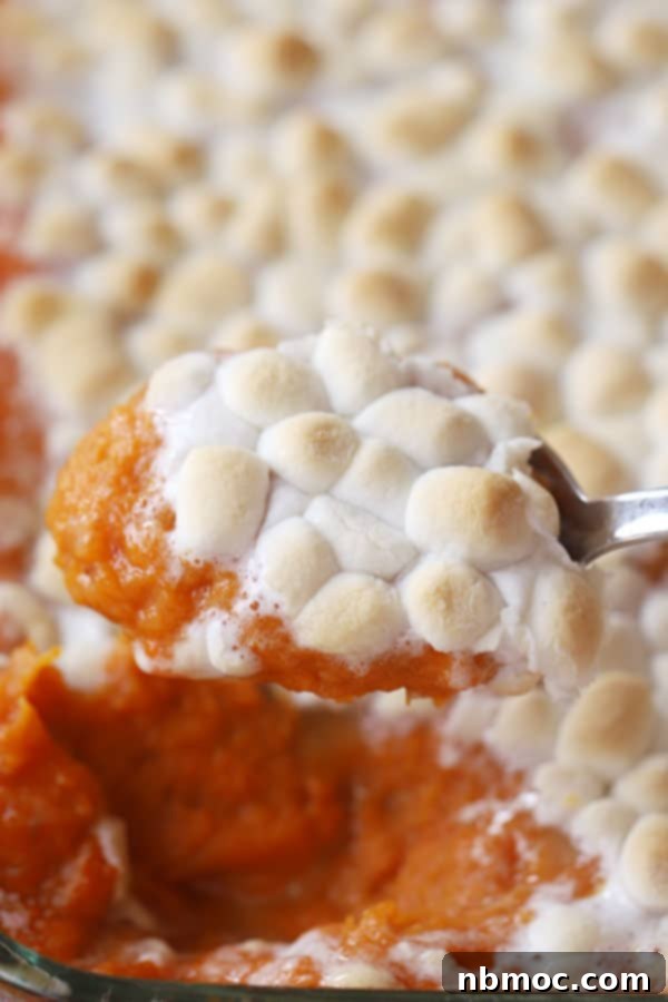 Golden Yam Bake with Toasted Marshmallow Topping 4 A spoon scooping up mashed sweet potatoes with marshmallows, showing the creamy texture.