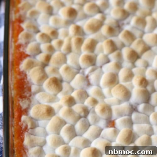 Golden Yam Bake with Toasted Marshmallow Topping 5 Sweet Potato Casserole in a glass baking dish, covered with marshmallows, ready to be served.