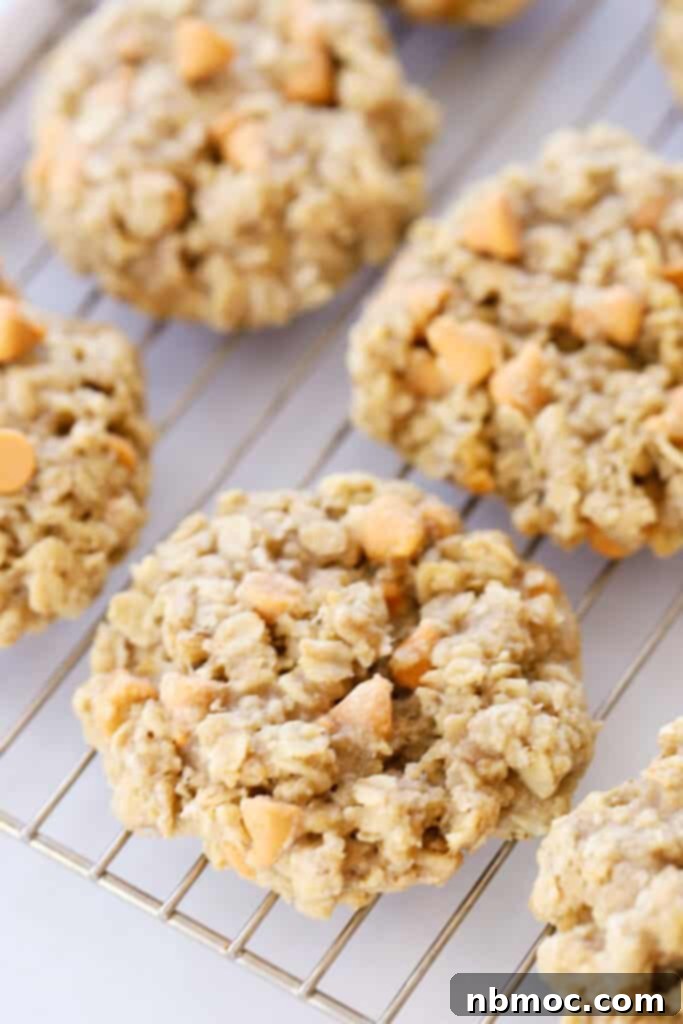 Freshly baked oatmeal butterscotch cookies cooling on a wire rack, showcasing their golden-brown edges and molten butterscotch chips.
