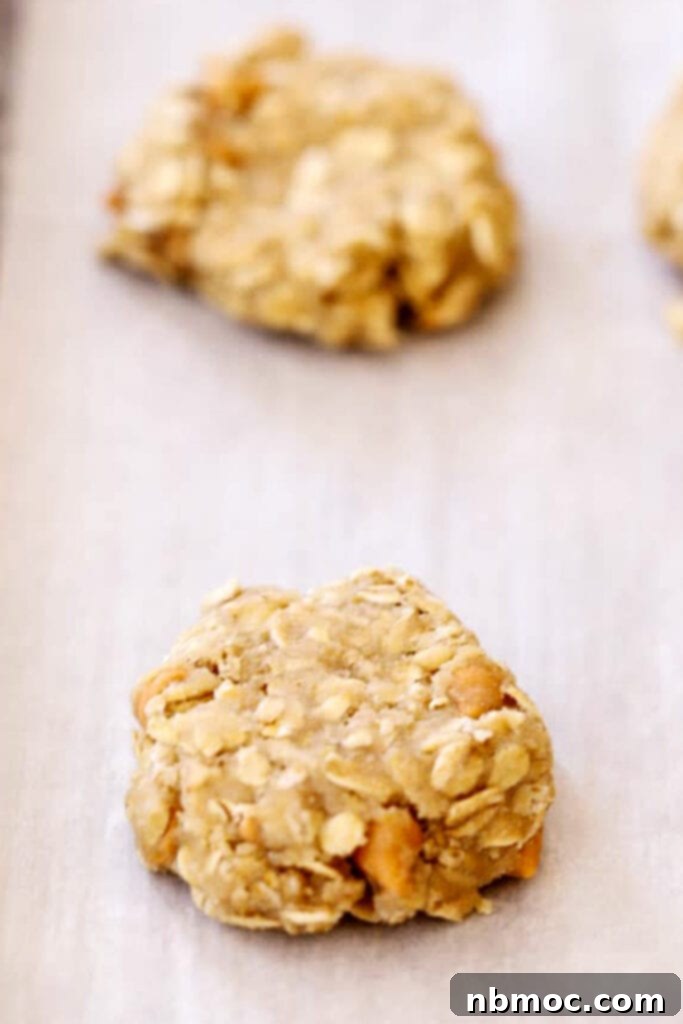 Raw butterscotch oatmeal cookie dough balls arranged on a baking sheet, ready for the oven.