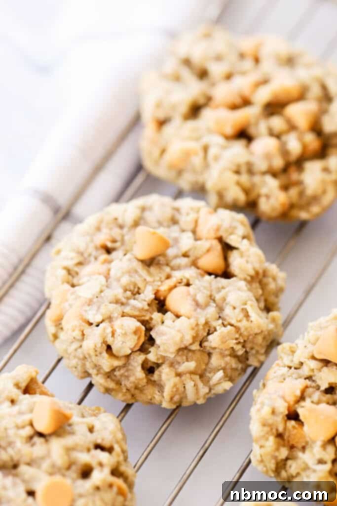 A batch of old-fashioned butterscotch oatmeal cookies cooling on a metal rack.