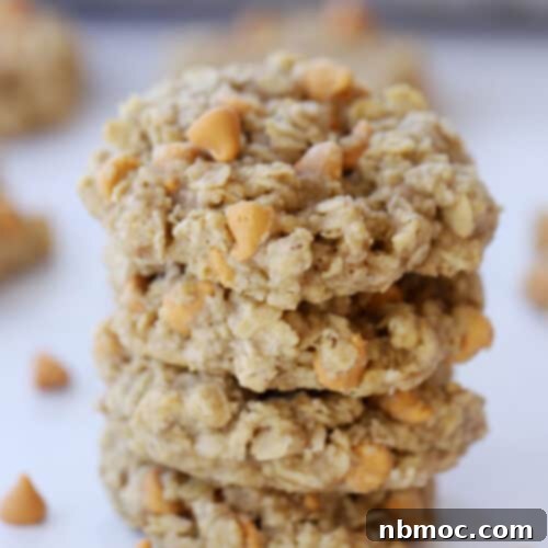 oatmeal butterscotch cookie recipe