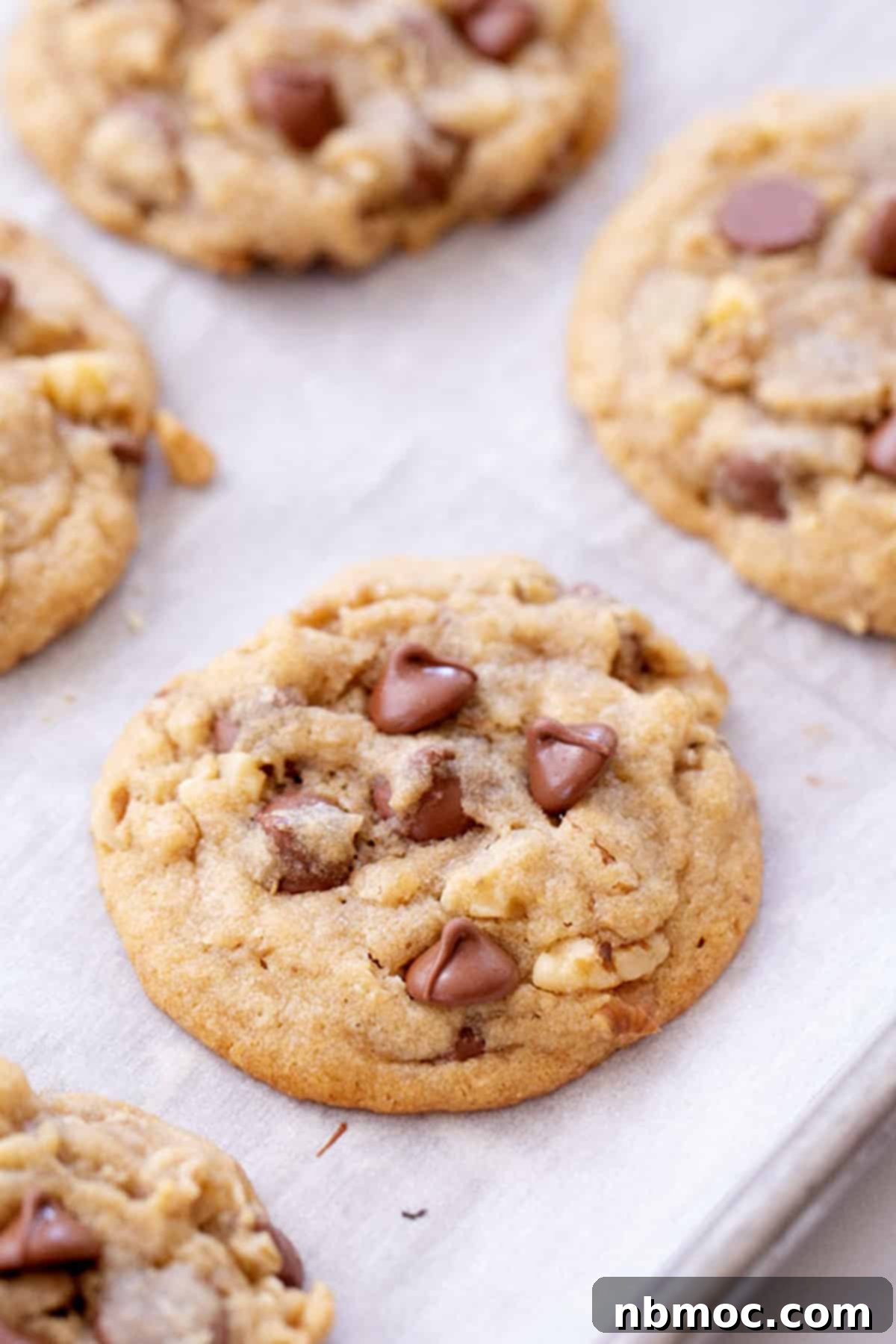 A perfectly baked DoubleTree chocolate chip cookie with a signature chew and golden-brown edges. This copycat recipe brings Hilton's famous cookies home.