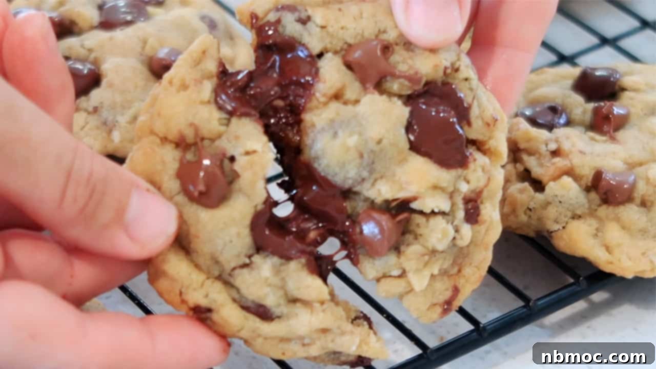 A warm DoubleTree chocolate chip cookie being pulled apart, showing its soft, gooey center filled with melted chocolate.