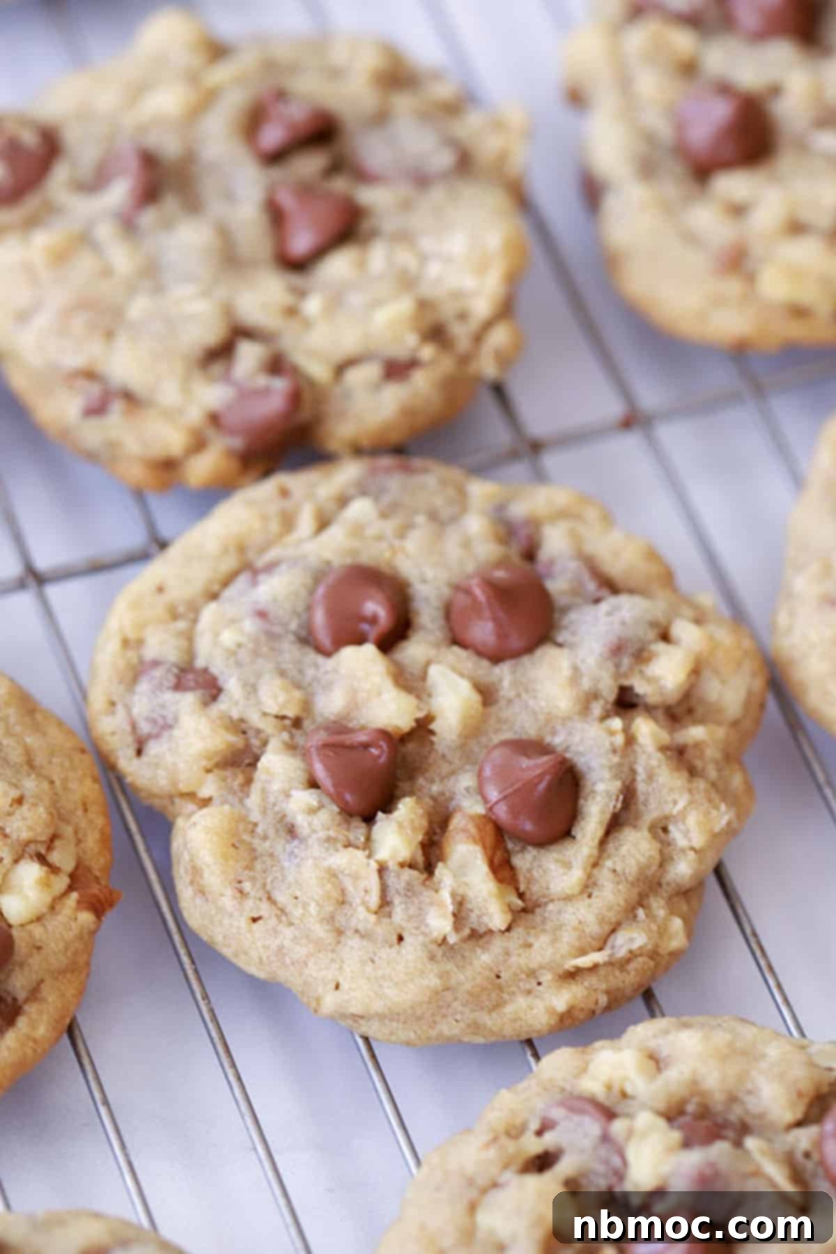 Freshly baked DoubleTree by Hilton Chocolate Chip Cookies cooling on a wire rack.