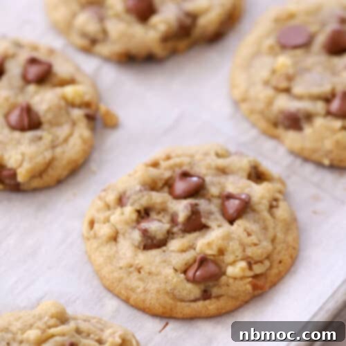 Cooked DoubleTree chocolate chip cookie, baked to perfection with gooey chocolate.