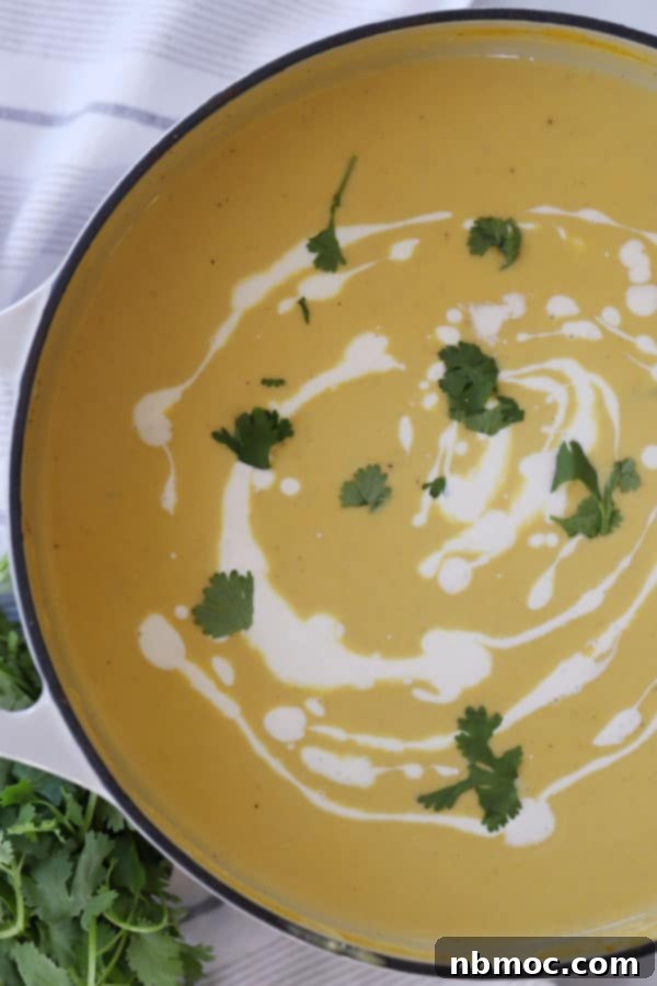 Golden Curry Squash Velouté 5 Roasted curry acorn squash soup in a dutch oven garnished with sour cream and fresh herbs.