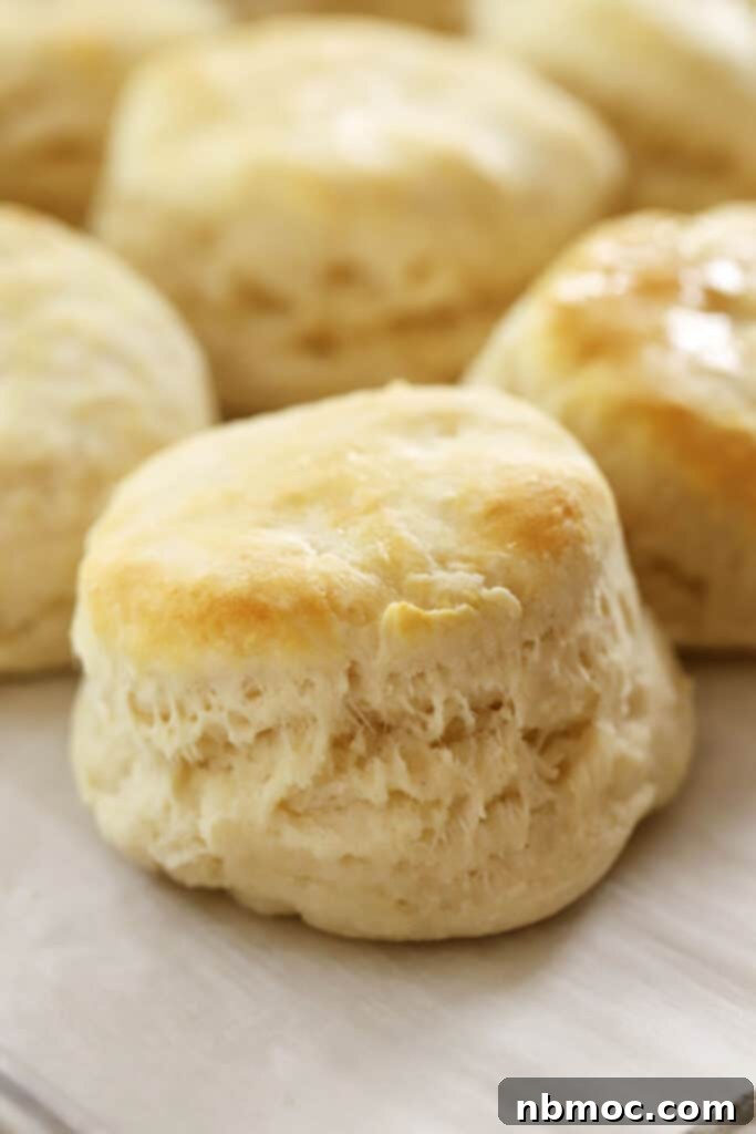 A baking sheet full of golden, flaky biscuits, fresh from the oven, promising warmth and comfort.