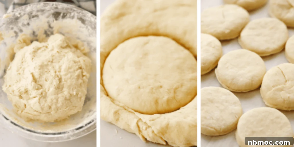 A step-by-step image showcasing the process of making flaky biscuits using baking powder.