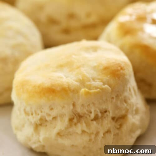 Homemade biscuits, fresh out of the oven, golden and inviting.