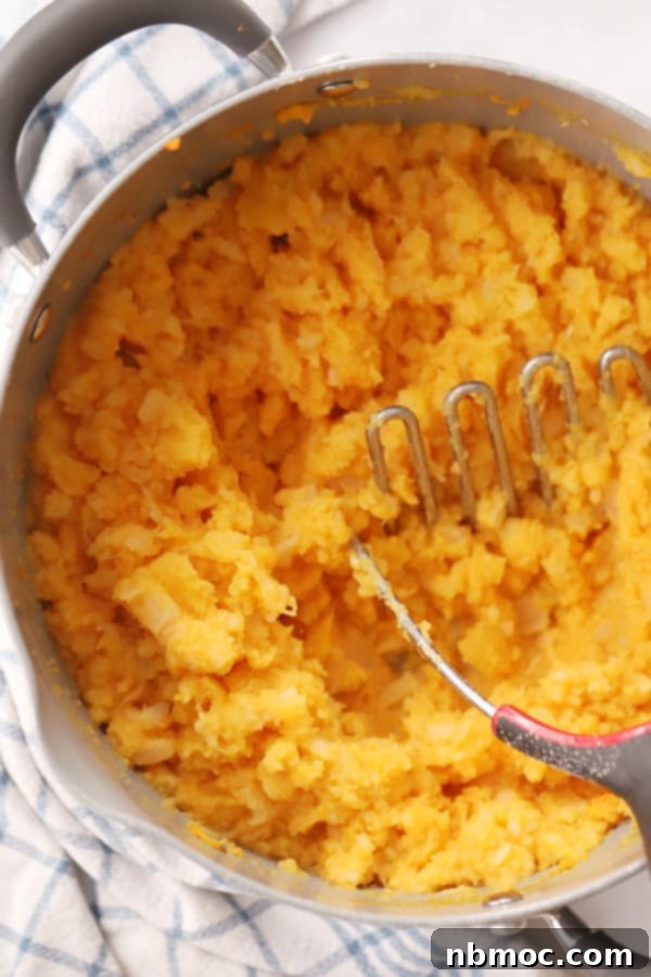 Velvety Root Puree 5 mashed root vegetables being mashed with a handheld potato masher.
