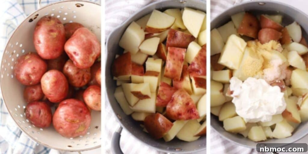 Ruby Red Mashed Potatoes 3 Freshly washed and cut red potatoes are placed in a large pot, ready to be boiled with other ingredients for mashed red potatoes.