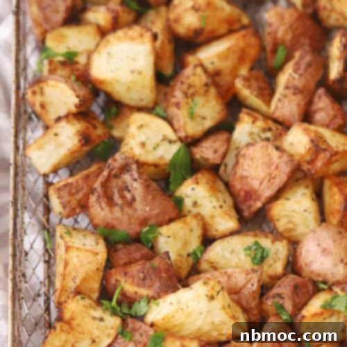 Crispy Air Fryer Red Potatoes 7 air fryer red potatoes recipe cooked in an air fryer, easy red potato recipe.