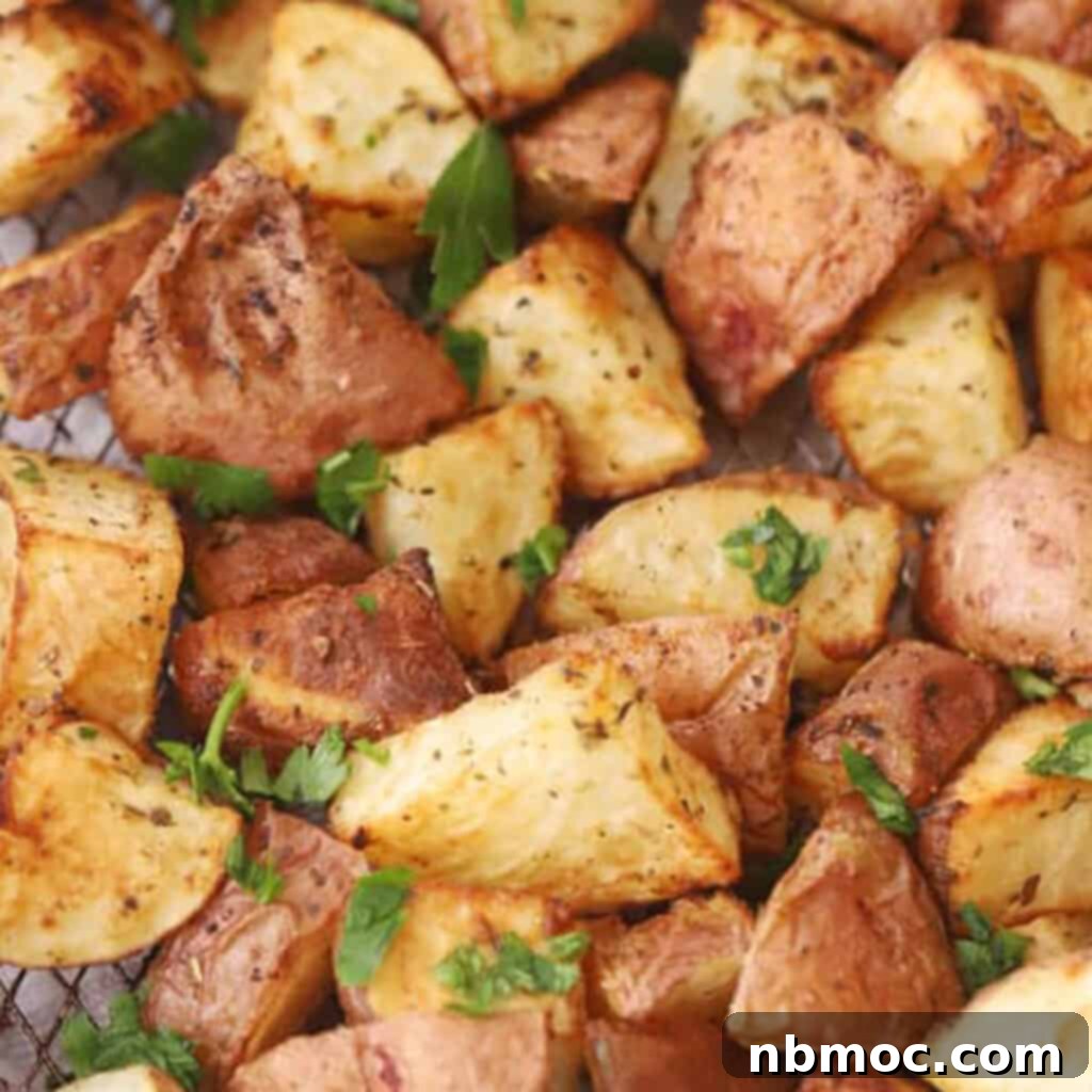 Crispy Air Fryer Red Potatoes 6 air fryer red potatoes recipe cooked in an air fryer.